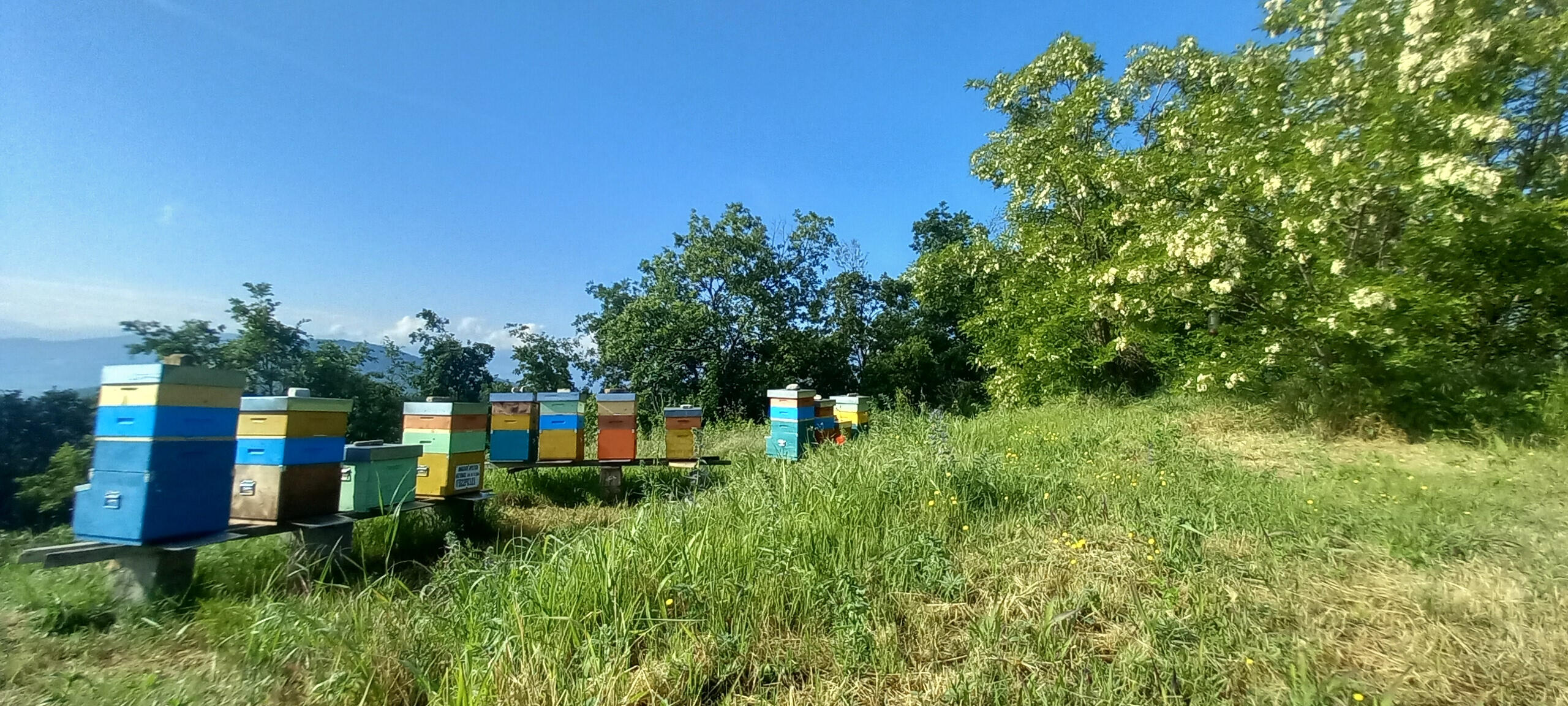 fra terra e cielo,